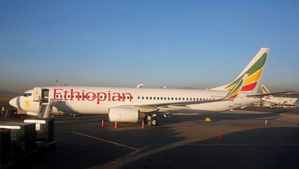 طائرة إثيوبية - سبوتنيك عربي