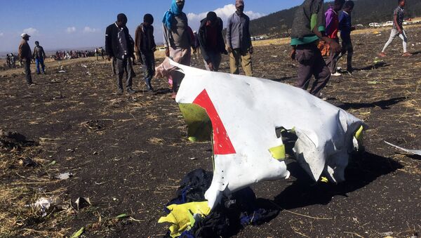 مكان تحطم الطائرة الأثيوبية - سبوتنيك عربي