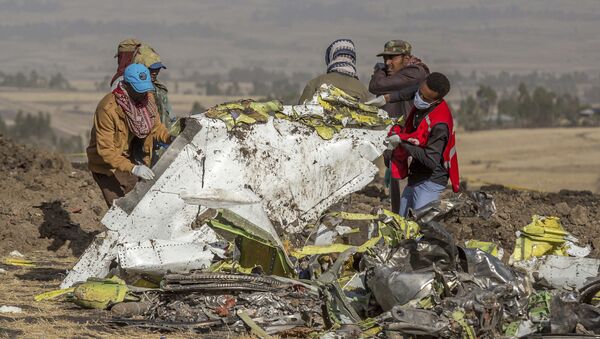 حطام الطائرة الإثيوبية المنكوبة - سبوتنيك عربي