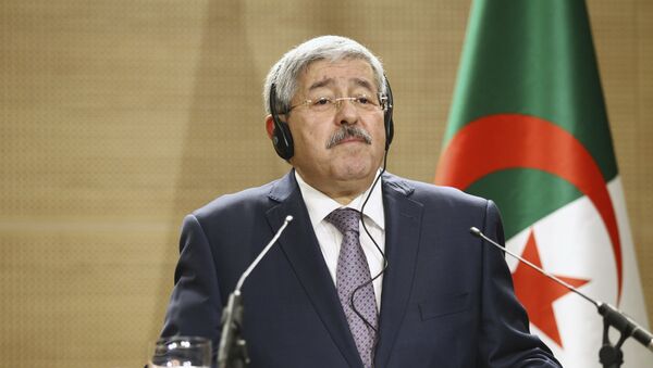 رئيس الحكومة الجزائرية المستقيل أحمد أويحيى - سبوتنيك عربي
