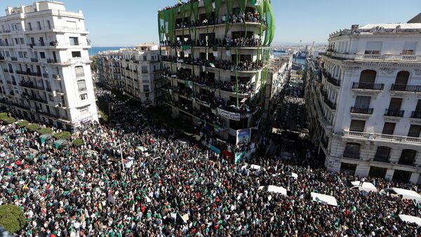 مظاهرات حاشدة في الجزائر احتجاجا على عبد العزيز بوتفليقة - سبوتنيك عربي