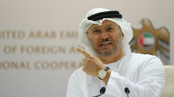وزير الدولة الإماراتي للشؤون الخارجية أنور قرقاش - سبوتنيك عربي