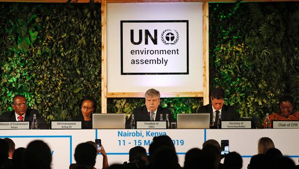 سيم كيسلر وزير البيئة في إستونيا ورئيس جمعية الأمم المتحدة للبيئة يلقي خطابا في بنيروبي - سبوتنيك عربي