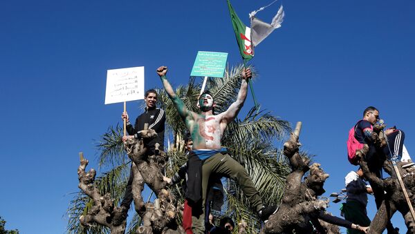 المتظاهرون في الجزائر العاصمة - سبوتنيك عربي
