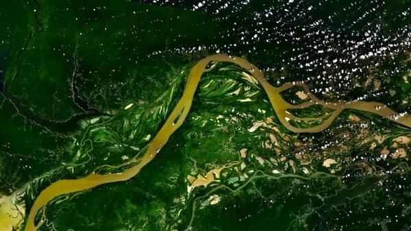 نهر الأمازون من الفضاء - سبوتنيك عربي