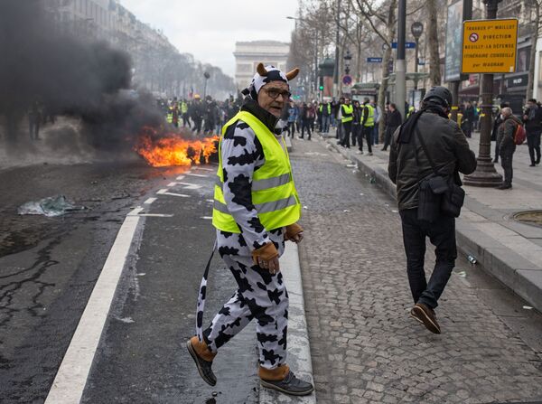 أحد المحتجين والمشاركين في تظاهرة السترات الصفراء في باريس، المستمرة منذ نوفمبر/ تشرين الثاني 2018 - سبوتنيك عربي