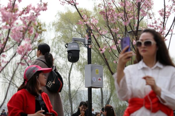 تفتح أزهار شجر الكرز (ساكورا) في بكين، الصين 19 مارس/ آذار 2019 - سبوتنيك عربي