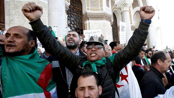 احتجاجات الجزائر - سبوتنيك عربي