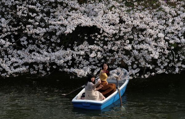 فتيات يأخذن صورة سيلفي على متن قارب على خلفية  فروع أزهار شجر الكرز في طوكيو 27 مارس/ آذار 2019 - سبوتنيك عربي