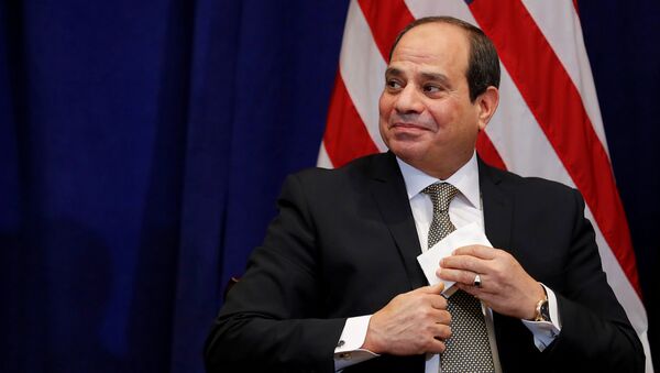 الرئيس المصري عبد الفتاح السيسي - سبوتنيك عربي