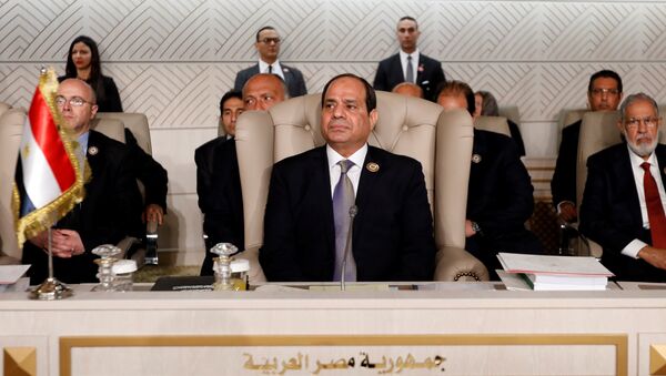 الرئيس المصري عبد الفتاح السيسي يحضر القمة العربية الثلاثين في تونس - سبوتنيك عربي