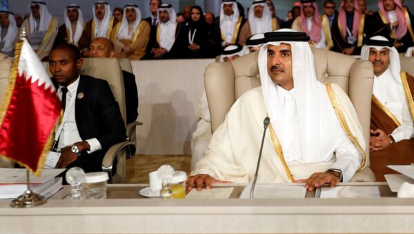 أمير قطر الشيخ تميم بن حمد آل ثاني يحضر القمة العربية الثلاثين في تونس - سبوتنيك عربي