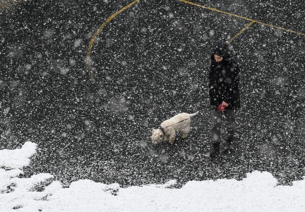 فتاة تتجول مع كلبها لحظة تساقط الثلوج في مدينة ميتيشي الروسية بضواحي موسكو - سبوتنيك عربي
