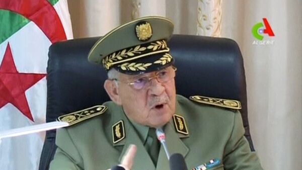 رئيس أركان الجيش الجزائري الفريق أول أحمد قايد صالح - سبوتنيك عربي
