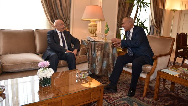 جانب من لقاء أمين جامعة الدول العربية أحمد أبو الغيط مع رئيس البرلمان الليبي عقيلة صالح - سبوتنيك عربي