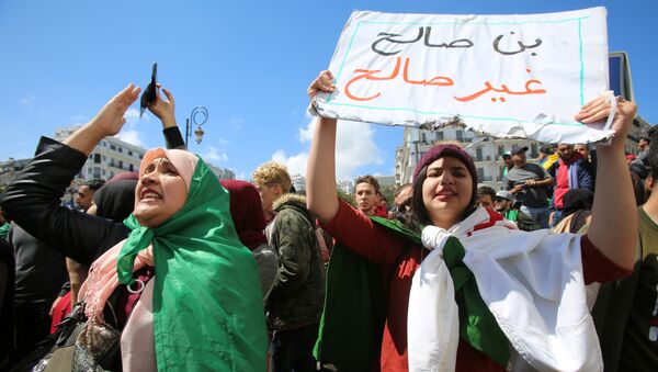احتجاج بعد أن عين البرلمان رئيس مجلس الشيوخ عبد القادر بن صالح رئيسا مؤقتا في الجزائر العاصمة - سبوتنيك عربي