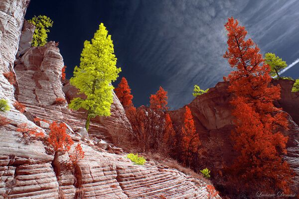 صورة فوتوغرافية من سلسلة مصورة بعنوان يوتا (Utah )، للمصور لوتشيانو ديماسي، الحائزة على المرتبة الأولى في فئة التصوير لوحة بأشعة ما تحت الحمراء - سبوتنيك عربي
