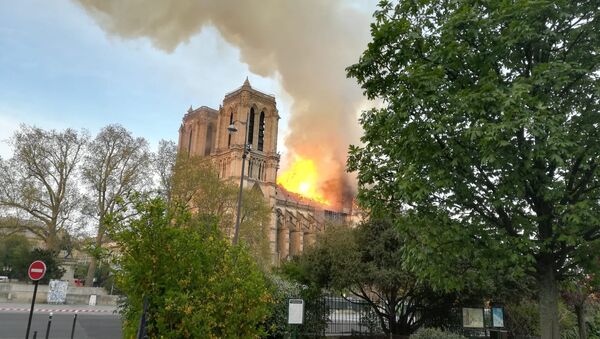 اندلاع حريق في كاتدرائية نوتردام بباريس - سبوتنيك عربي