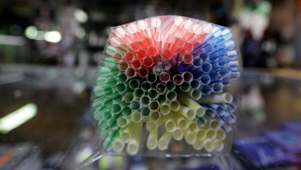 القش البلاستيكي معروض في متجر في نيس - سبوتنيك عربي