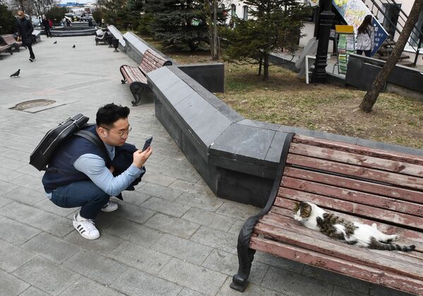 سائح يصور قطة في شارع الأدميرال فوكين في فلاديفوستوك - سبوتنيك عربي