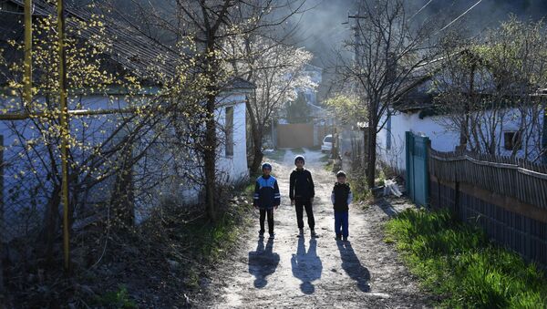 أطفال في الشارع بقرية زاليسنويه في مقاطعة باختشيساراي في شبه جزيرة القرم - سبوتنيك عربي