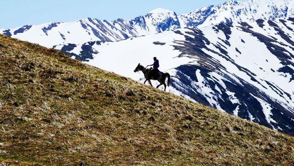 ركوب الخيل في الجزء الشمالي من المحمية الطبيعية القوقازية باسم خ. غ. شابوشنيكوف - سبوتنيك عربي