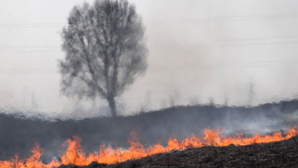 صورة تعبيرية لحريق - سبوتنيك عربي