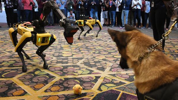 الكلب كي 9 والكلب الآلي سبوت (Spot ) أثناء مؤتمر صحفي Amazon Re:MARS، 4 يونيو/ حزيرام 2019 - سبوتنيك عربي