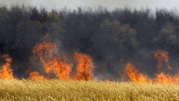 الحرائق تجتاح تونس وتهدد المحاصيل الزراعية - سبوتنيك عربي