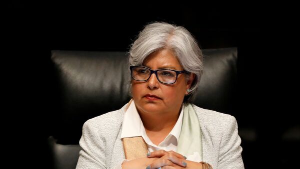 وزيرة الاقتصاد المكسيكية غراسيلا ماركيز - سبوتنيك عربي