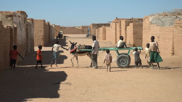 مدينة في صحراء وادي حلفا، السودان - سبوتنيك عربي