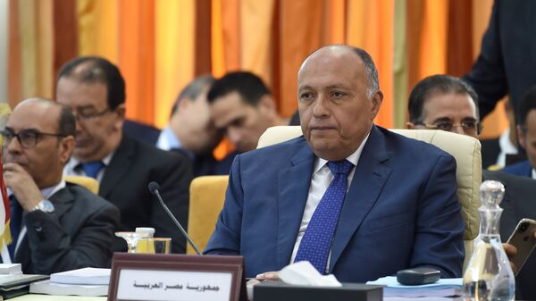 وزير الخارجية المصري سامح شكري، 29 مارس/ آذار 2019 - سبوتنيك عربي