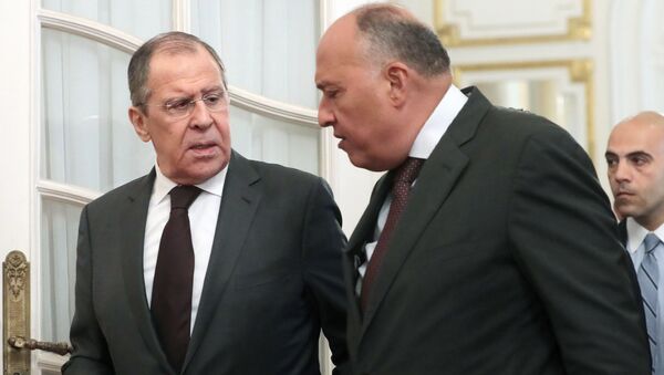 وزير الخارجية الروسي سيرغي لافروف مع وزير الخارجية المصري سامح شكري  - سبوتنيك عربي