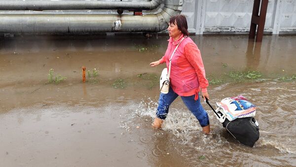 فيضانات تغلق الطريق المؤدي إلى أحد مطارات موسكو الدولية - سبوتنيك عربي
