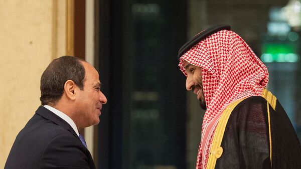 الرئيس عبد الفتاح السيسي يلتقي ولي العهد السعودي محمد بن سلمان في قمة العشرين - سبوتنيك عربي