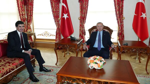 الرئيس التركي أردوغان يلتقي مع رئيس إقليم كردستان العراق الذي يتمتع بحكم شبه ذاتي نيشيرفان بارزاني في إسطنبول - سبوتنيك عربي