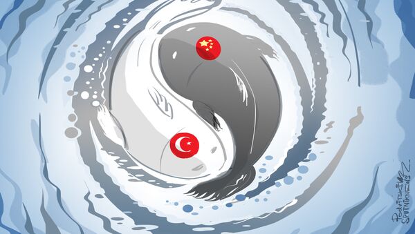 التعاون الصيني التركي - سبوتنيك عربي
