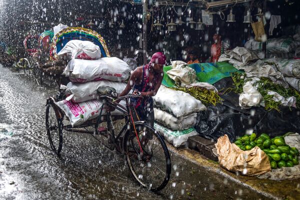 مجتذب من العربة في بنغلاديش يشق طريقه تحت الأمطار الغزيرة في دكا في 30 يونيو/ حزيران 2019. - تمطر الأمطار الموسمية عبر شبه القارة الهندية من يونيو/ حزيران إلى سبتمبر/ أيلول - سبوتنيك عربي