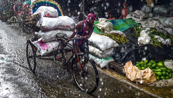 مجتذب من العربة في بنغلاديش يشق طريقه تحت الأمطار الغزيرة في دكا في 30 يونيو/ حزيران 2019. - تمطر الأمطار الموسمية عبر شبه القارة الهندية من يونيو/ حزيران إلى سبتمبر/ أيلول - سبوتنيك عربي