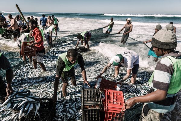 السكان المحليون يصطادون الأسماك بالشباك على شاطئ أمانزمتوتي، جنوب إفريقيا 3 يوليو/ تموز 2019 - سبوتنيك عربي