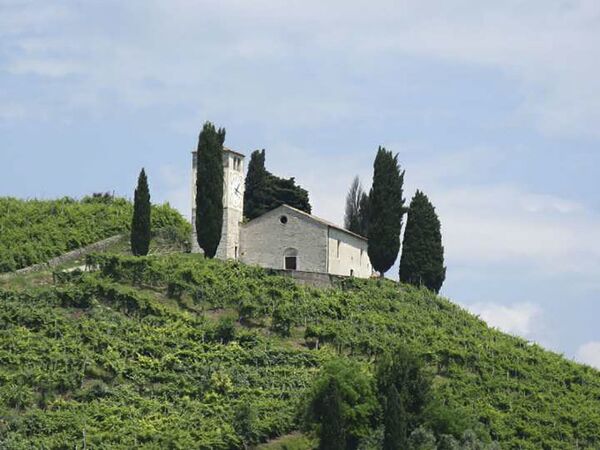 تلال بروسيكو دي كونجليانو وفالدوبياديني في إيطاليا – تقع شمال شرق إيطاليا، وتضم جزءاً من المناظر الطبيعية لإنتاج النبيذ في منطقة بروسيكو - سبوتنيك عربي