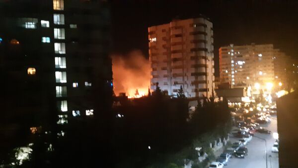 اندلاع حريق ضخم جنوب دمشق - سبوتنيك عربي