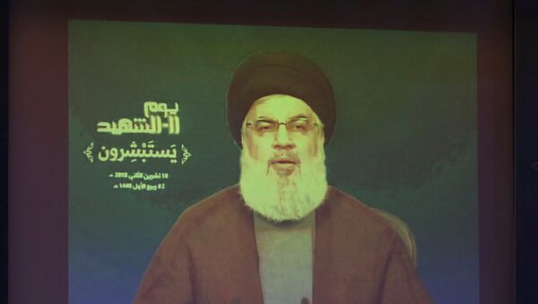 أمين عام حزب الله حسن نصر الله - سبوتنيك عربي