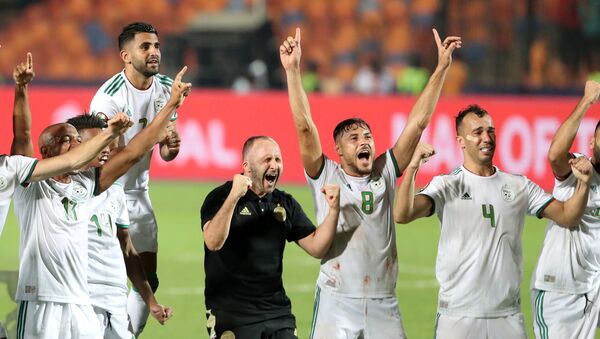 الجزائر بطل كأس أمم أفريقيا 2019 - سبوتنيك عربي