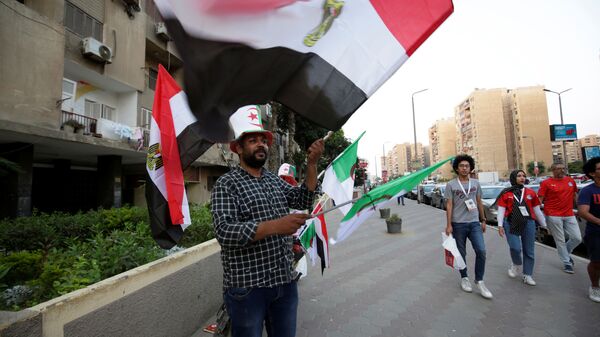 بائع أعلام في القاهرة قبل نهائي كأس أمم إفريقيا بين الجزائر والسنغال - سبوتنيك عربي