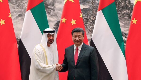 ولي عهد أبو ظبي محمد بن زايد آل نهيان و الرئيس الصيني شين جين بينغ - سبوتنيك عربي