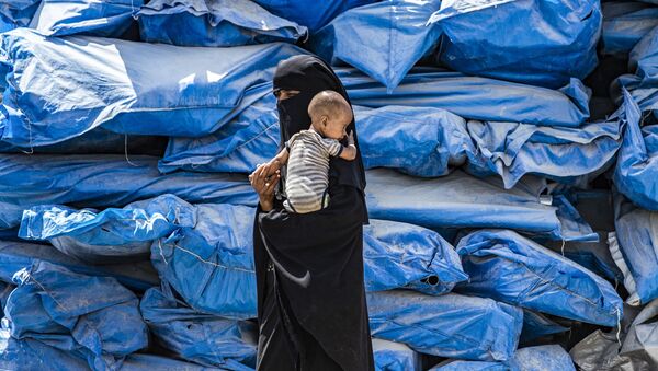 امرأة تحمل طفلاً في مخيم الهول للنازحين في الحسكة، شمال شرق سوريا 22 يوليو/ تموز 2019 - سبوتنيك عربي