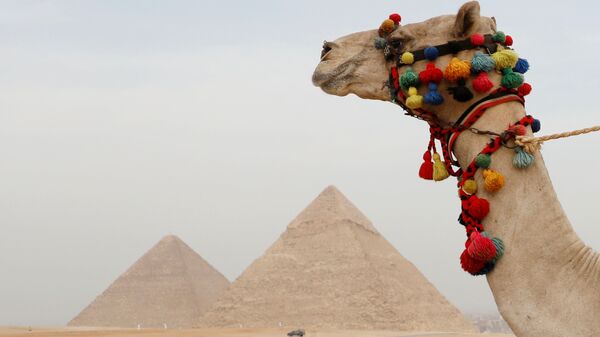 الأهرامات في مصر  - سبوتنيك عربي