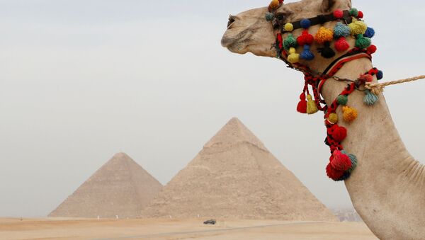 الأهرامات في مصر  - سبوتنيك عربي