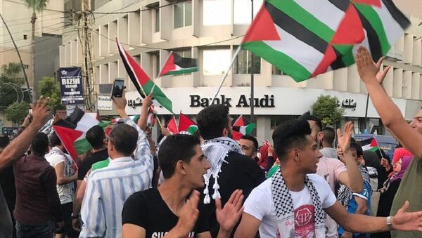 تظاهرة لبانية فلسطينية في صيدا، لبنان 30 يوليو/ تموز 2019 - سبوتنيك عربي